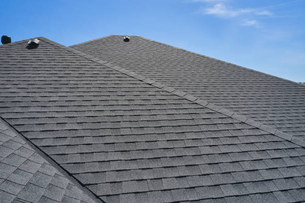 Best Steel Roofing  in Inesville, GA